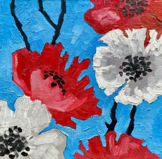 Poppy flowers
