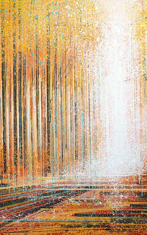 Forest Trees Bathed In Warm Light by Marc Todd