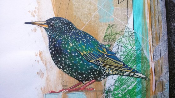 The Starling said...