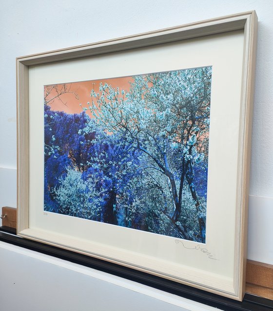 (FRAMED) Nature and Seasons