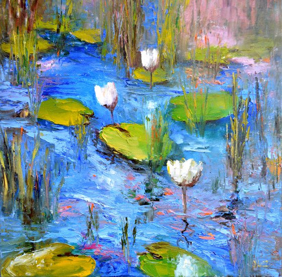 White Lily Pond
