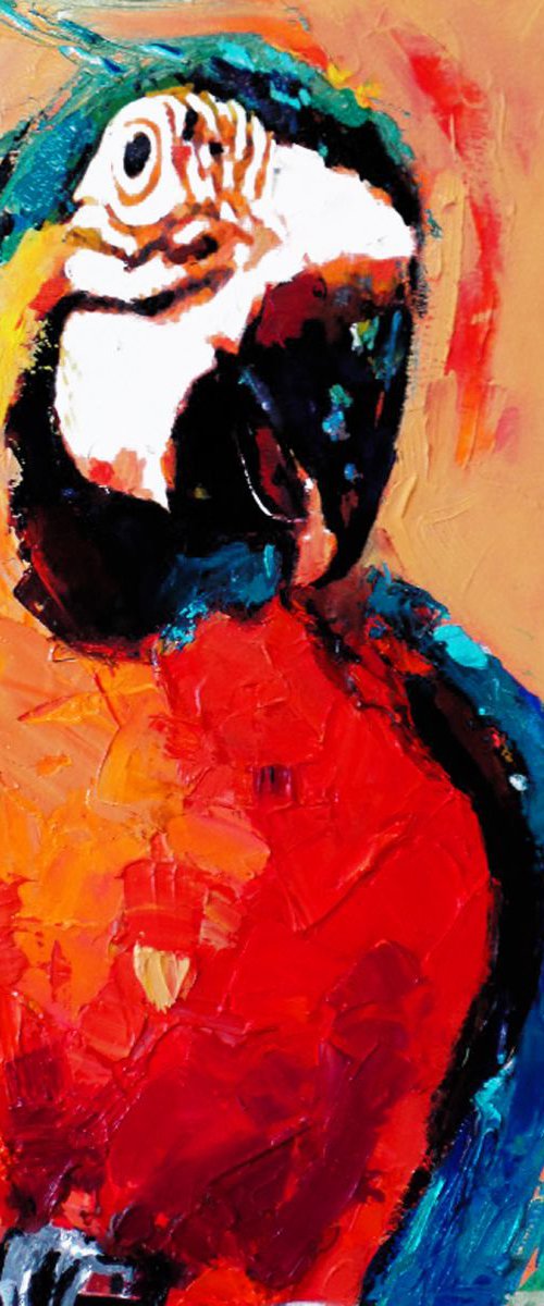 Birds of Paradise - Orange Parrot by Irene Wilkes