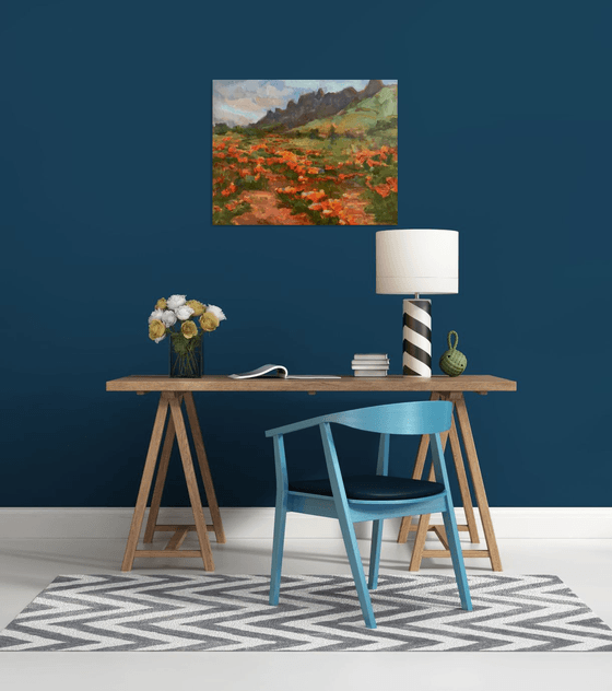 Desert in Spring