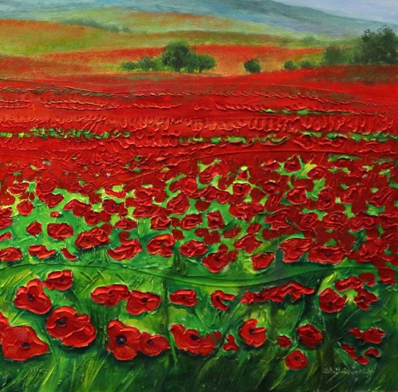 Fields In Bloom