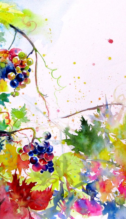Lovely autumn - grapes by Kovács Anna Brigitta