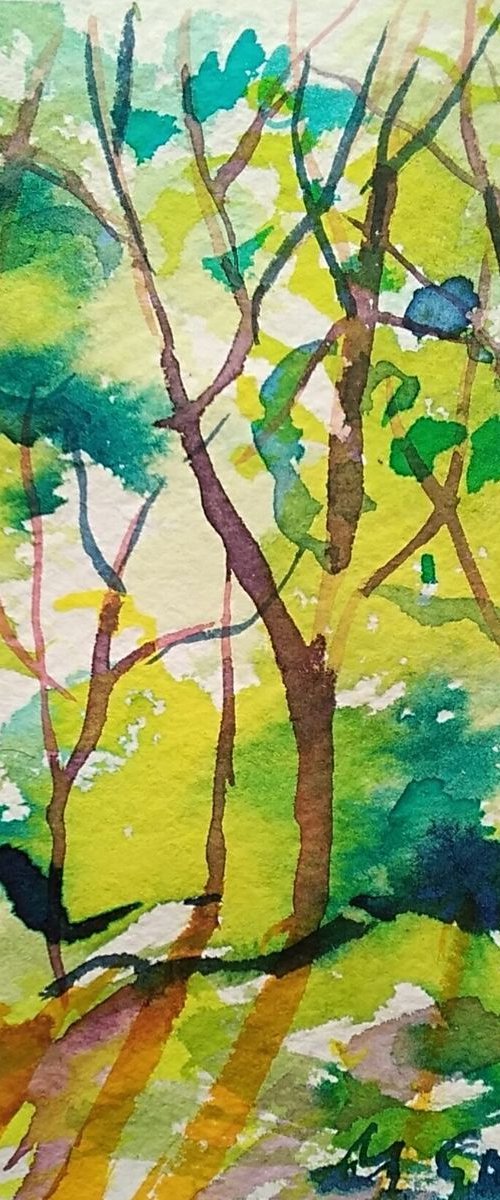 Sunlight in the forest by Maja Grecic