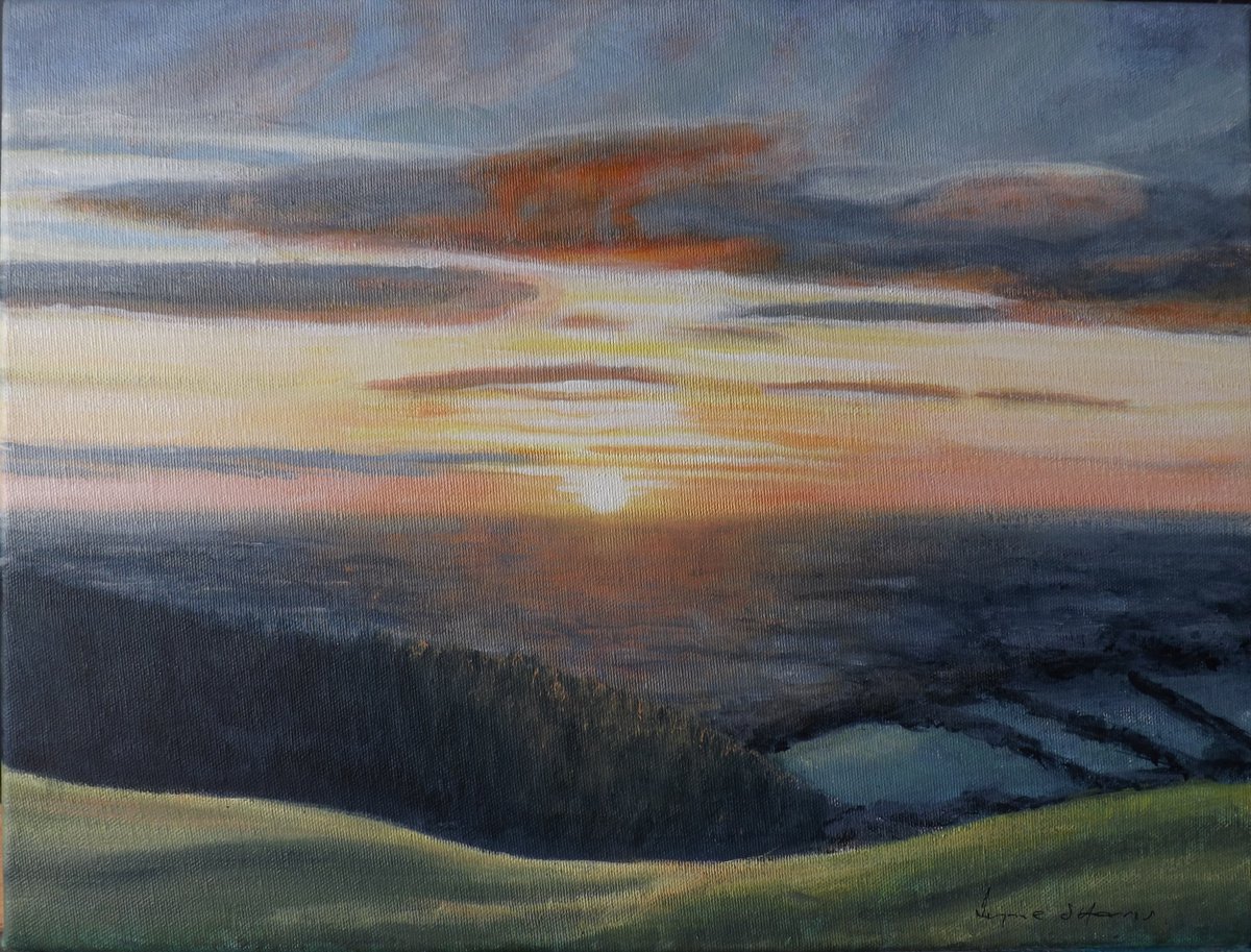 Sunrise by Lynne Harris