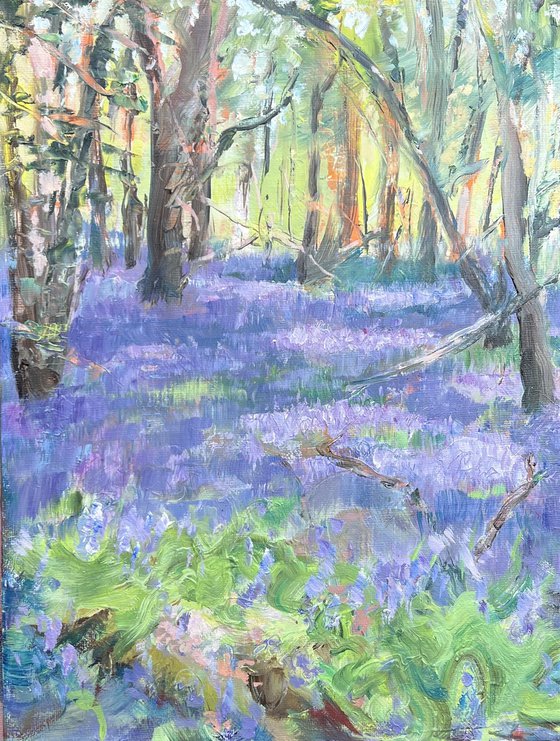 Bluebell Woods