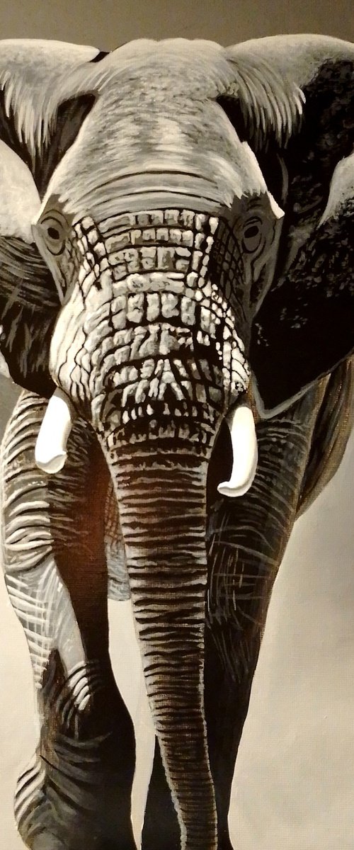 Elephant painting by Barry Gray