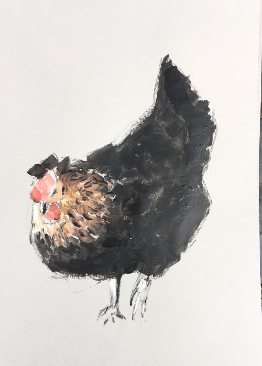 Chicken Study 4 by Dominique Deve