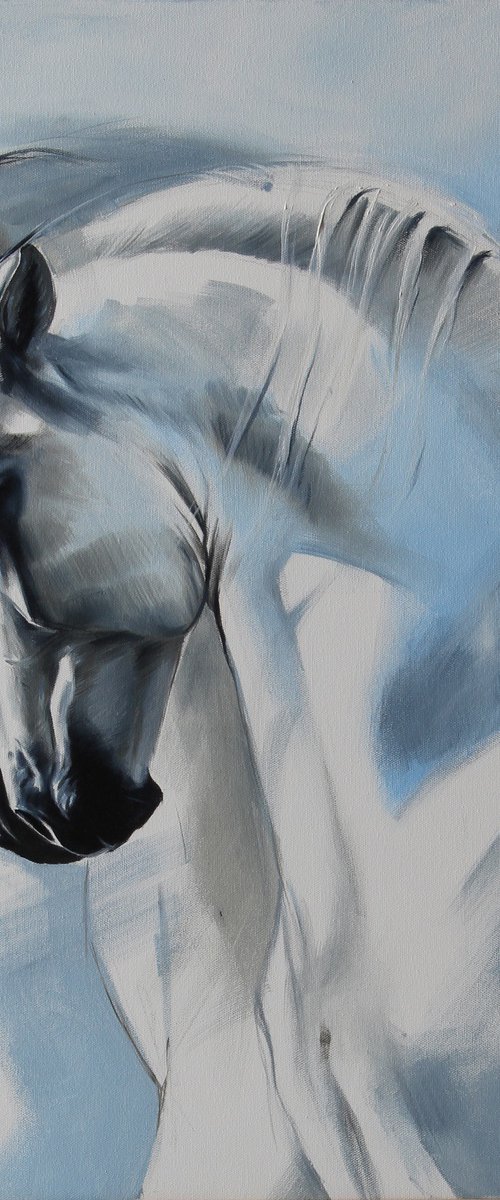 horse love by Marie Madej