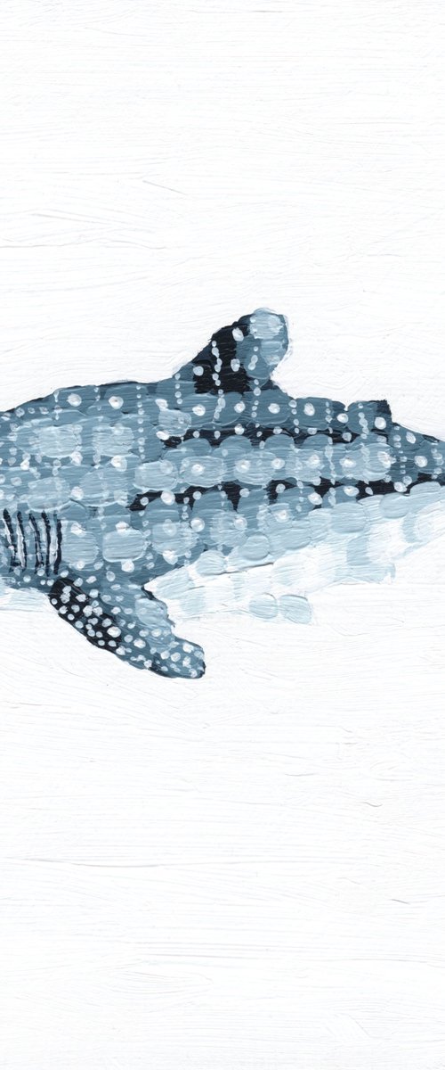 Whale Shark by Kelsey Emblow