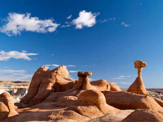 The Toadstool Rocks