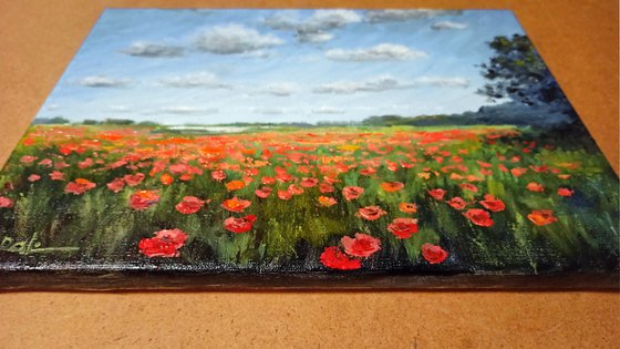 Poppy horizon