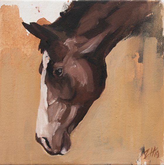 Family Equidae (study 8)