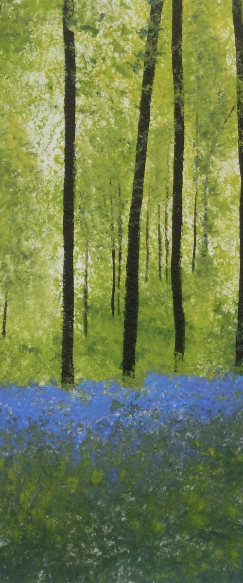 Bluebells by Jan Rippingham