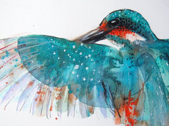 The Kingfisher 2