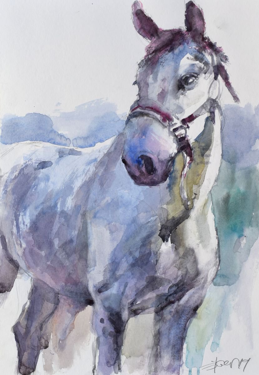 Expressive Animal Watercolour By Goran Zigolic Watercolors, 14 X 20, Horse Study 3, Original Artwork