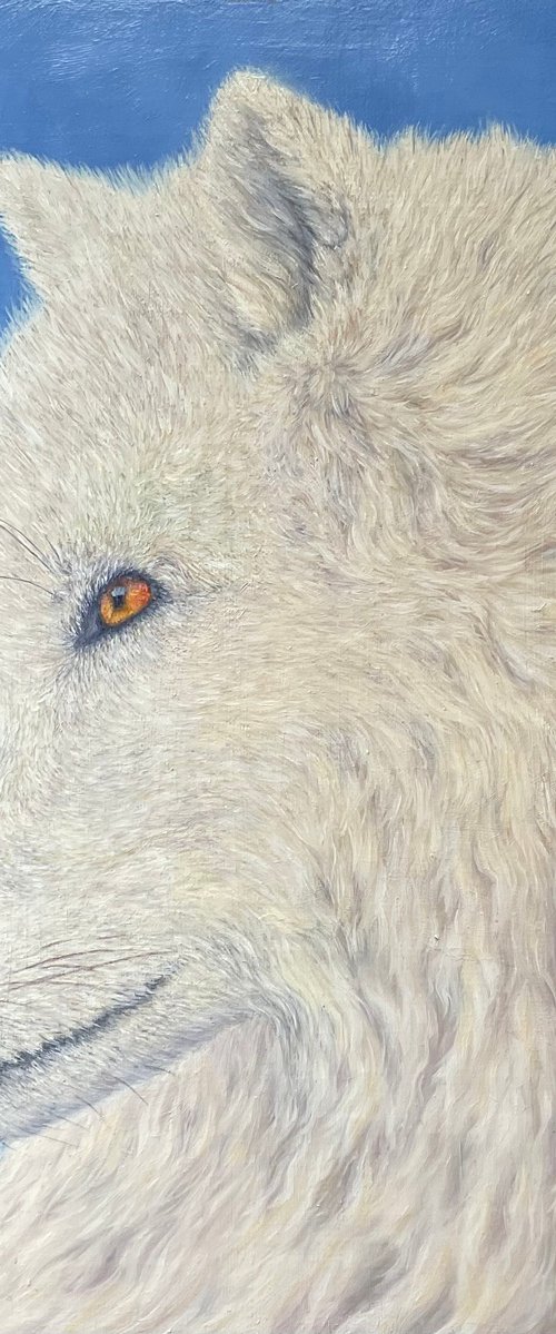 Northern Guardian by Olya Lane