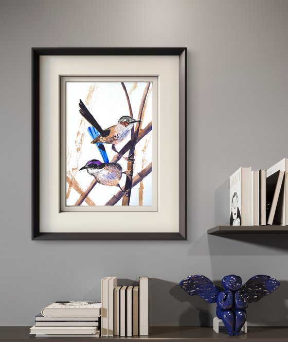 Pair Purple-crowed Fairy-wrens