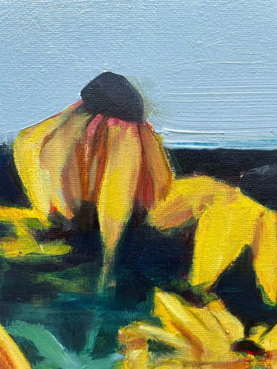 august flowers