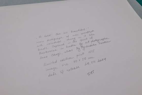 Be Bold - You are beautiful!