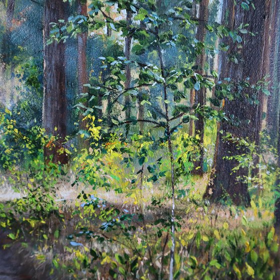 Summer Forest