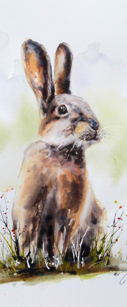 Rabbit. by Graham Kemp