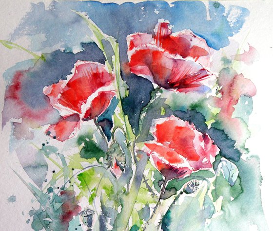 Poppies