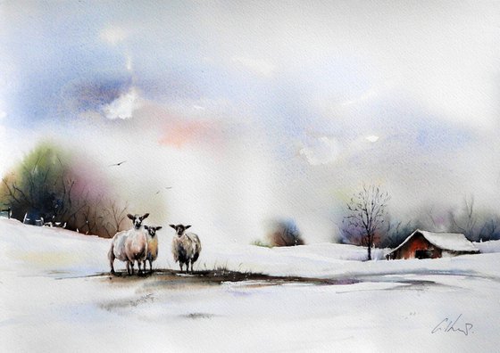 Three Sheep. Original Watercolour Painting.