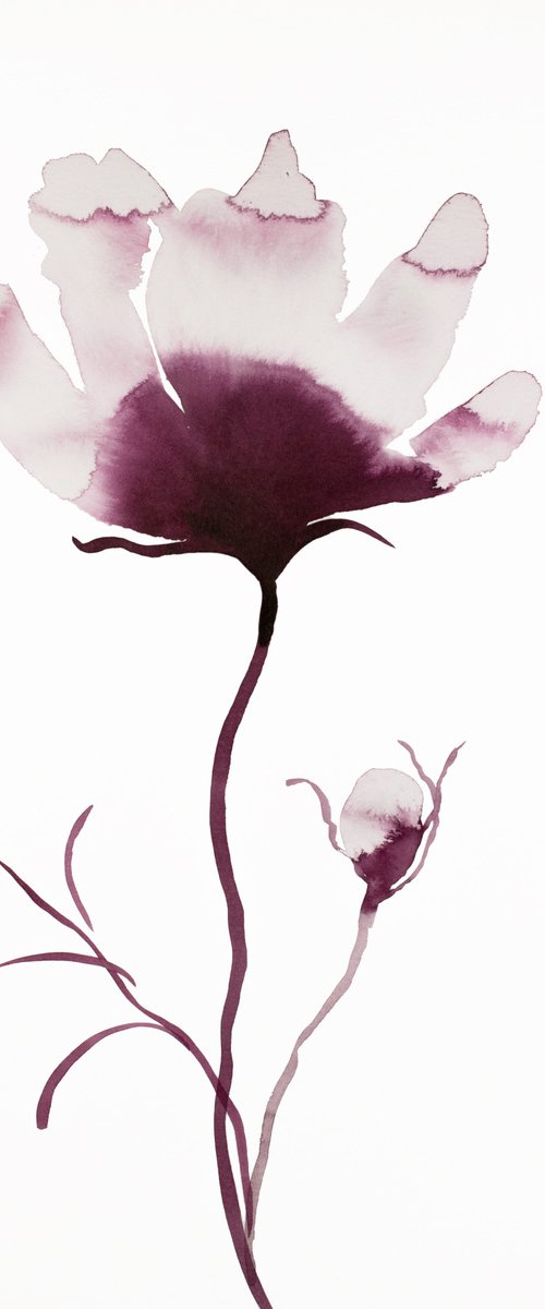 Magnolia No. 43 by Elizabeth Becker