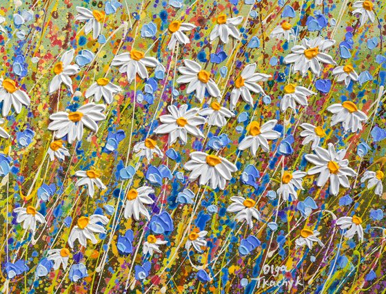 Morning Daisies