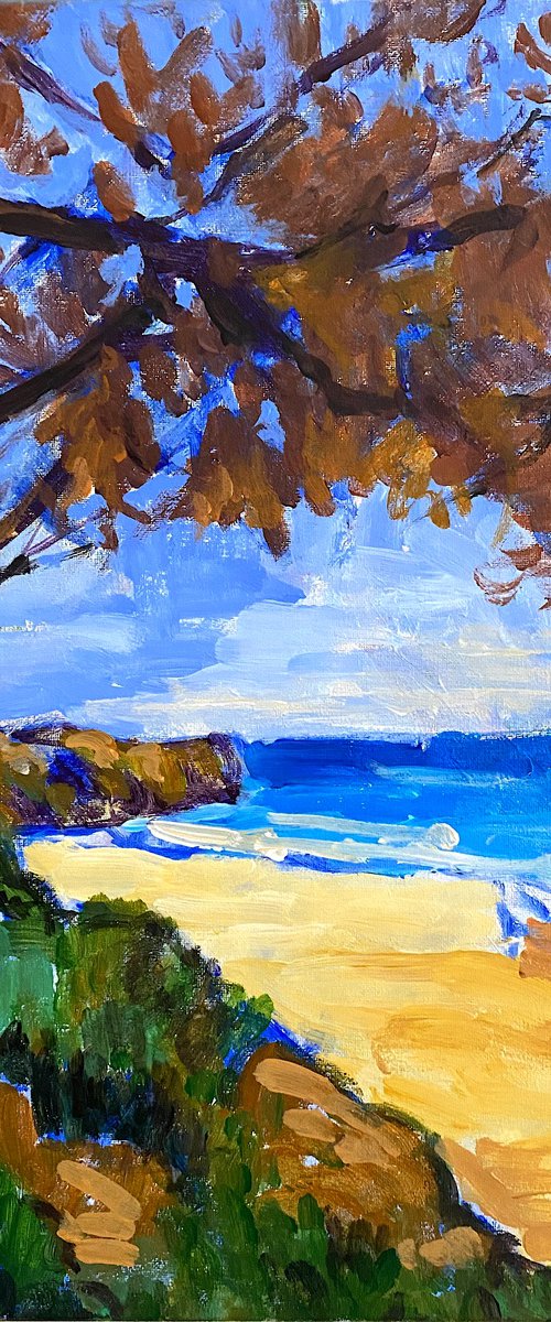 Jug Handle State Park by Mutlu Ertac