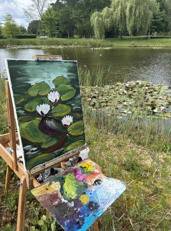 Serenity of Water Lilies