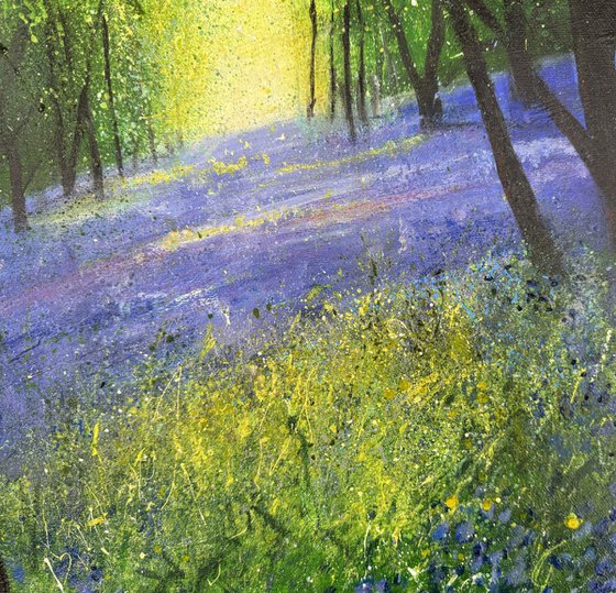 Carpet of Bluebells