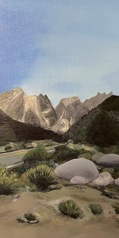 Lone Pine by MaryAnne McKernie