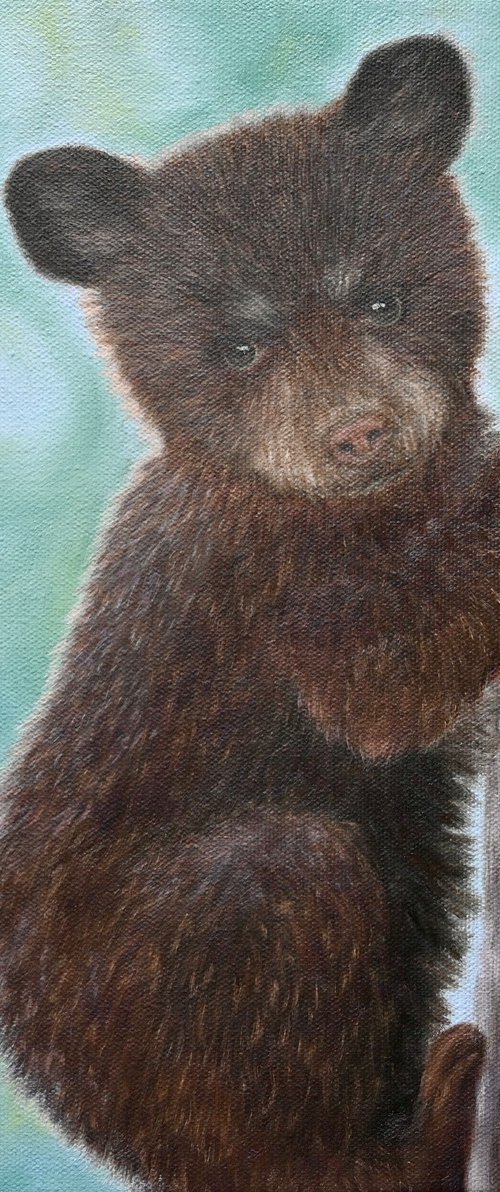 Bear Cub by Olya Lane