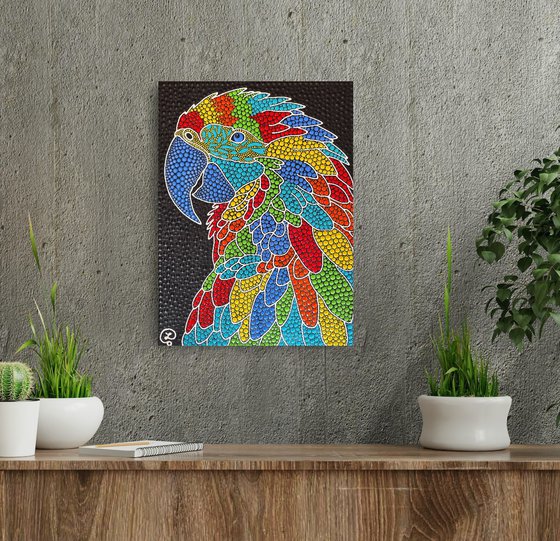Rainbow Macaw
