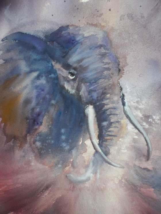 elephant