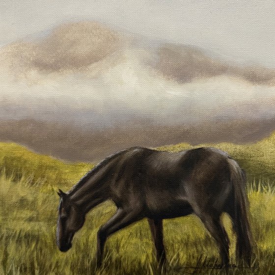 Black horse #3