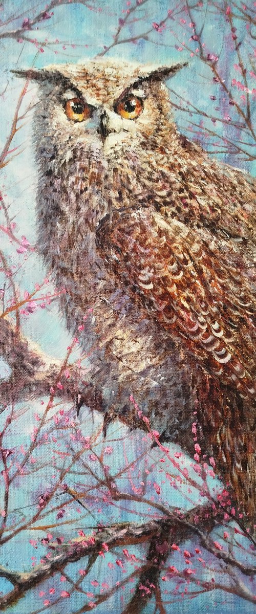 Owl by Dmitrij Tikhov