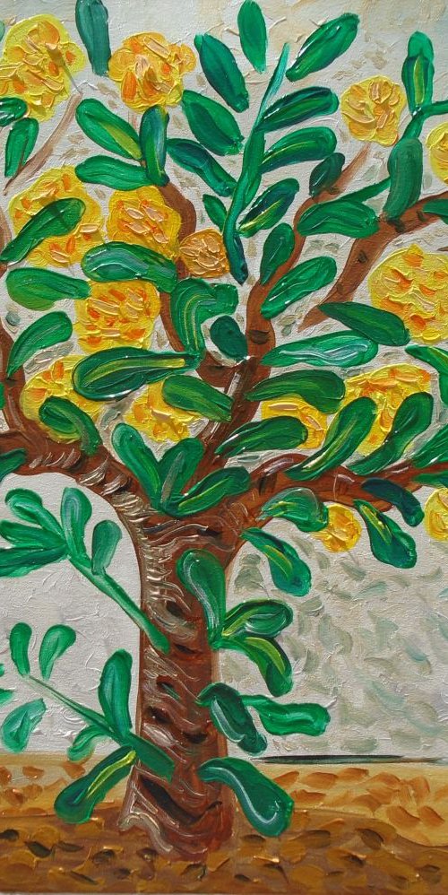 Pittosporum in bloom by Kirsty Wain