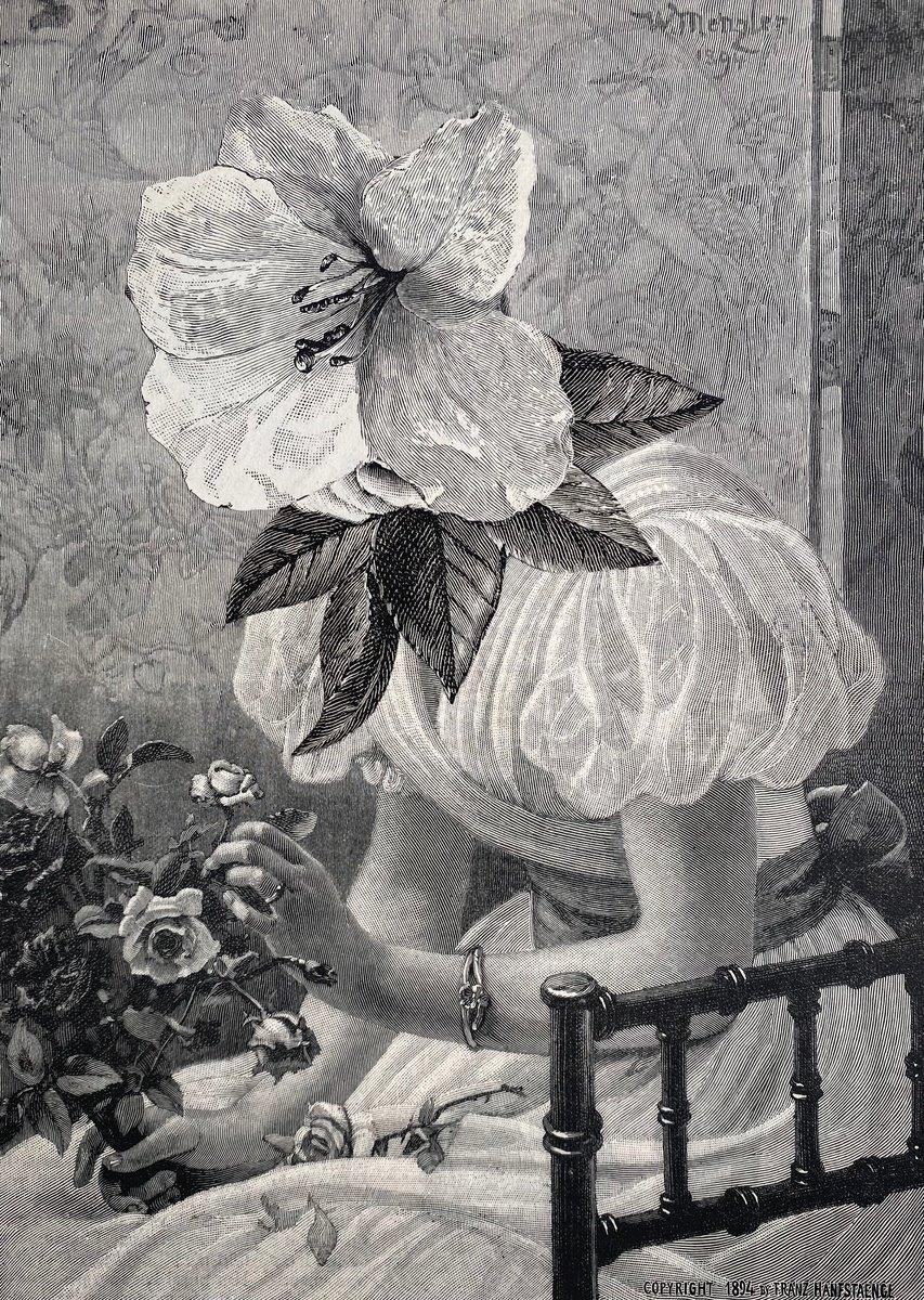 Surrealistic Portrait Collage By Tudor Evans, 6 X 8", Rose And Lily, Original Artwork