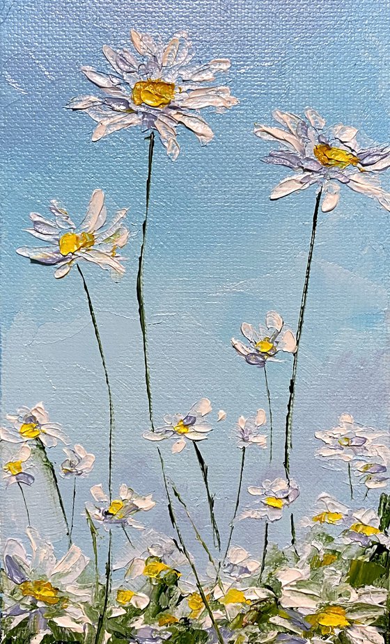 Daisies field