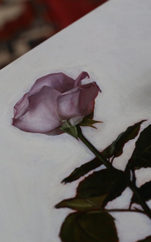 Pink Rose by Rosa Boomsma