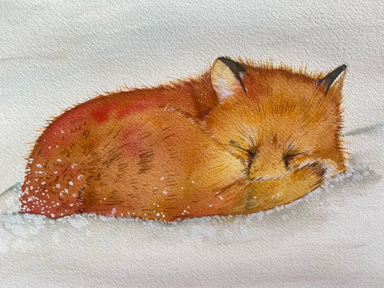 Sleepy fox in the snow. Watercolour painting