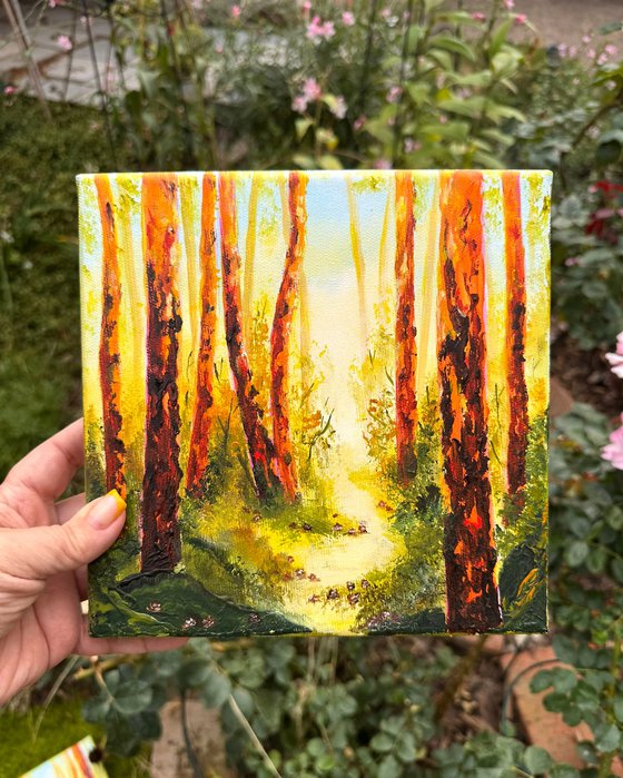 Into the Sunlit Pines