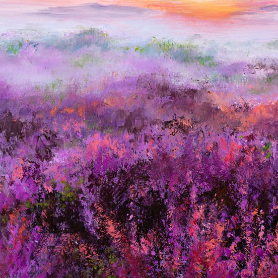 'Purple sunrise'