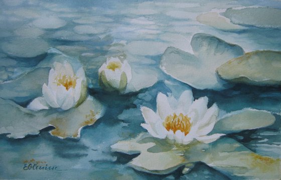 White waterlilies