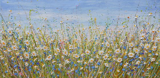 Daisies in July - wildflower meadow painting